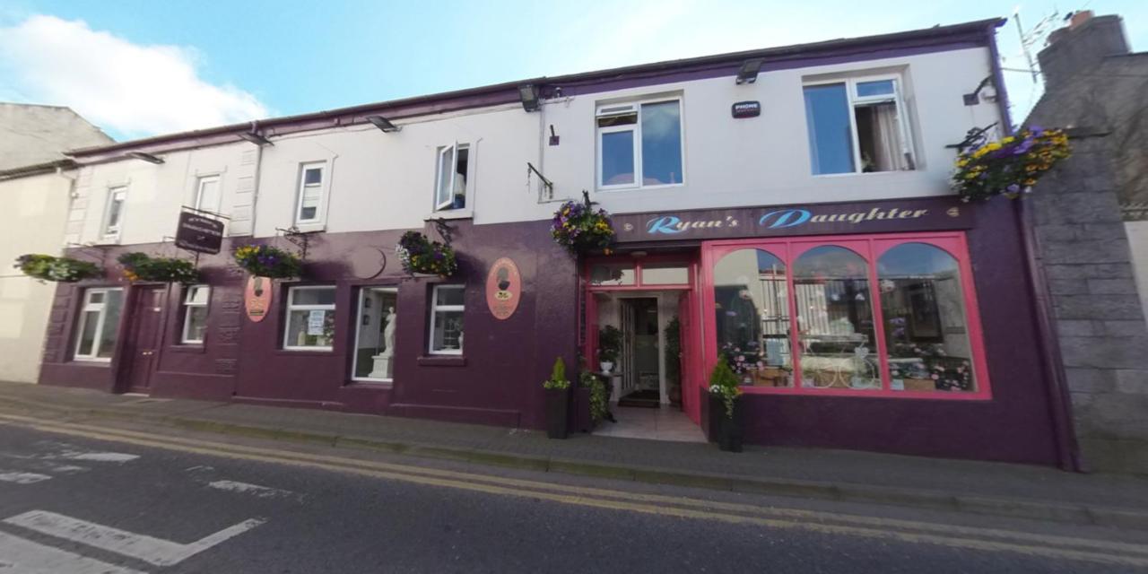 Ryan'S Daughter B&B Thurles Extérieur photo