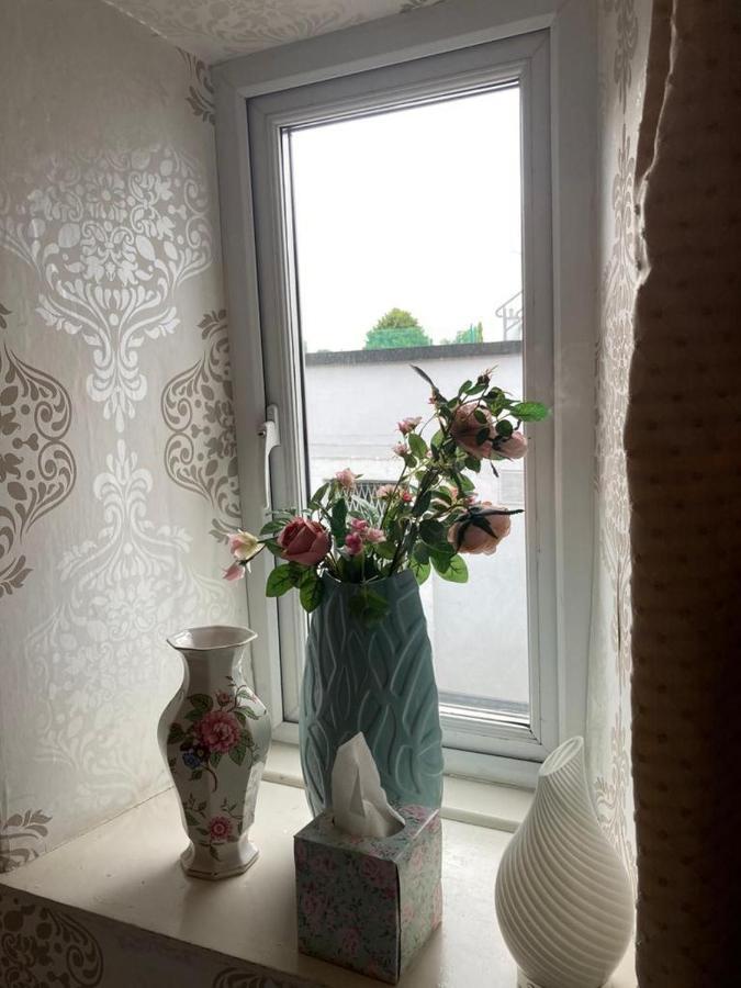 Ryan'S Daughter B&B Thurles Extérieur photo
